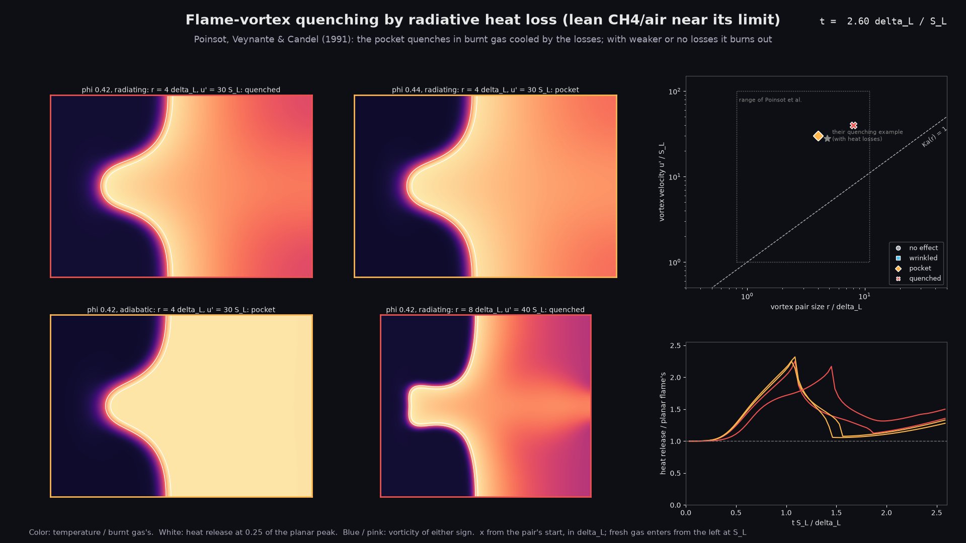 A vortex pair against a radiating lean methane flame: the pocket quenches only in the strongest losses